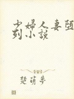 少妇人妻堕落系列小说封面