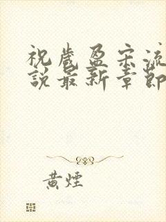 祝岁盈宋流景小说最新章节更新时间