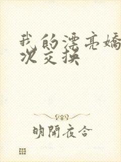 我的漂亮娇妻初次交换