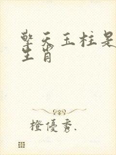 擎天玉柱是什么生肖封面