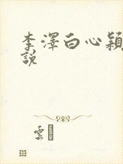 李泽白心颖的小说