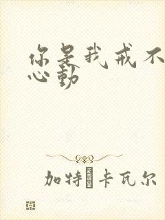 你是我戒不掉的心动