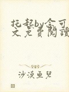 托起by念可全文免费阅读笔趣阁封面