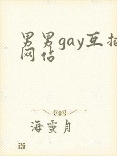 男男gay互插网站