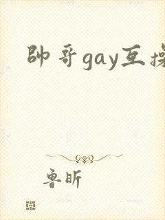 帅哥gay互操