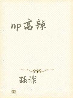 np高辣