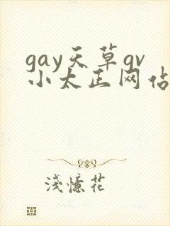 gay天草gv小太正网站