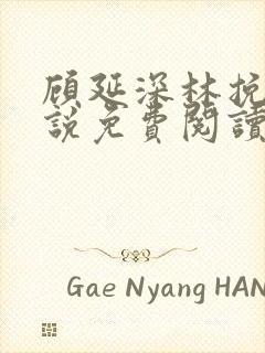 顾延深林挽音小说免费阅读最新章节封面