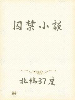 囚禁小说