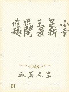 催眠玉足小说笔趣阁最新章节更新时