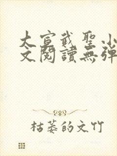 大宣武圣小说全文阅读无弹窗