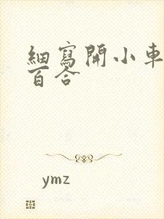 细写开小车车的百合封面