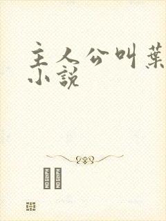 主人公叫叶尘的小说