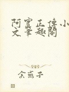 阿宾正传小说全文笔趣阁封面