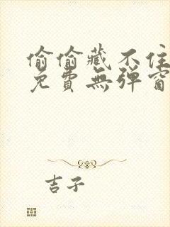 偷偷藏不住全文免费无弹窗阅读