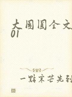 大团圆全文阅读01封面