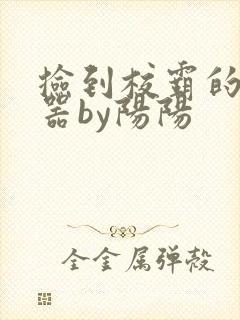 捡到校霸的遥控器by阳阳