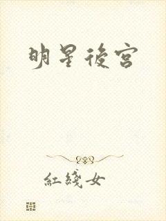 明星后宫