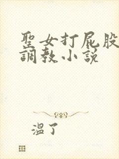 圣女打屁股sp调教小说封面
