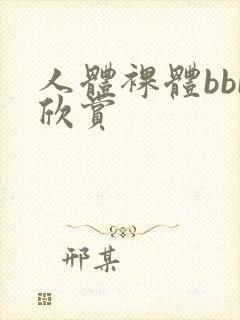 人体裸体bbb欣赏封面