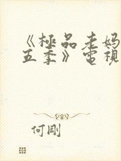 《极品老妈 第五季》电视剧封面