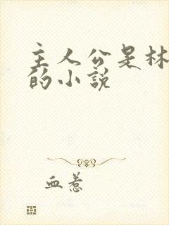 主人公是林晚晴的小说