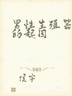 男性生殖器感染的起因