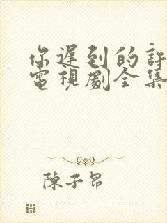 你迟到的许多年电视剧全集免费观看