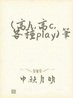 (高h,高c,各种play)笔趣阁