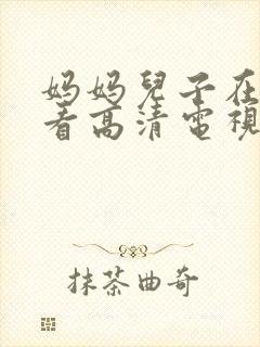 妈妈儿子在线观看高清电视剧第10集封面