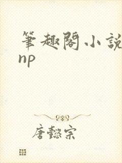 笔趣阁小说高hnp