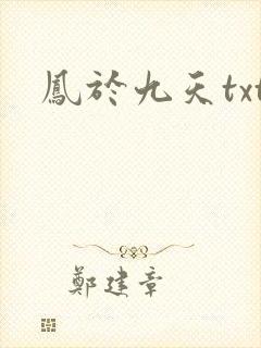 凤于九天txt