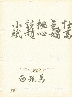 小说桃色仕途陈斌赵心媚高婉君