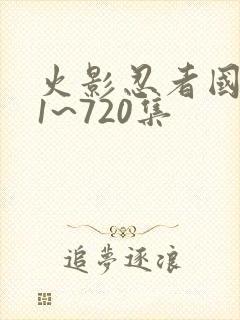 火影忍者国语版1~720集