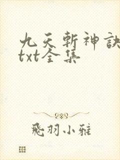九天斩神诀下载txt全集封面