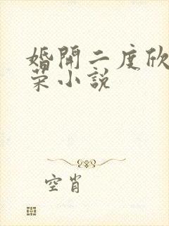 婚开二度欣欣向荣小说