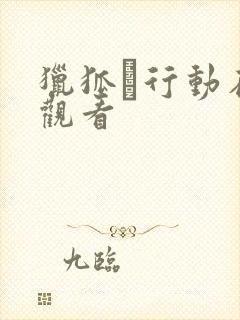 猎狐·行动在线观看