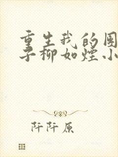 重生我的团长妻子柳如烟小说