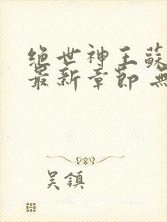 绝世神王苏莫 最新章节 无弹窗 笔趣阁封面