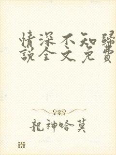 情深不知归处小说全文免费阅读