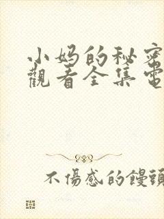 小妈的秘密免费观看全集电视剧完整