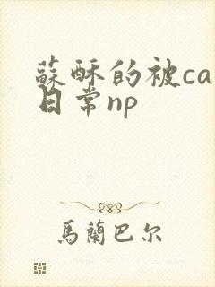 苏酥的被cao日常np