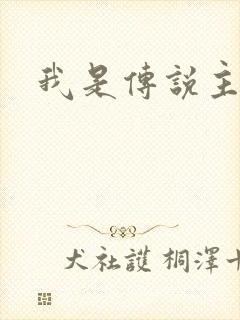 我是传说主题曲封面