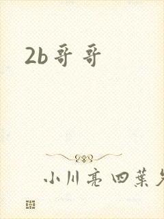 2b哥哥