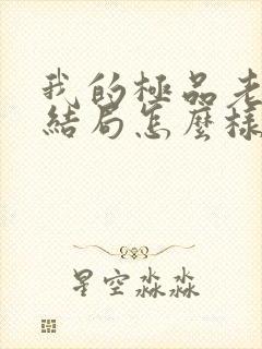 我的极品老婆大结局怎么样封面