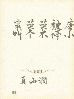 宁荣荣被唐三桶叫个不停小说