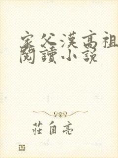 家父汉高祖在线阅读小说封面