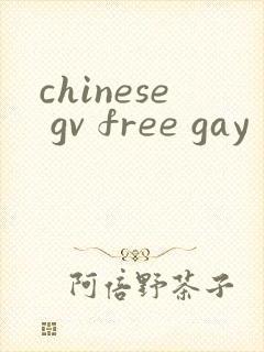 chinese gv free gay