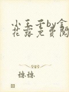 小王子by金银花露免费阅读笔趣阁封面