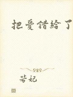 把爱错给了你